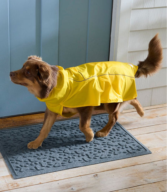Discovery Dog Rain Jacket | L.L.Bean Great Value