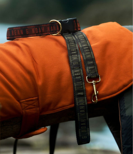 L.L.Bean & Noah Kahan Novelty Dog Collar | L.L.Bean Latest