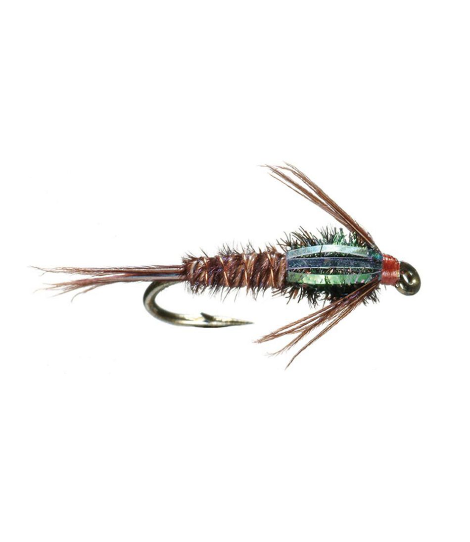 Flashback Pheasant Tail, 2-Pack | L.L.Bean Featured