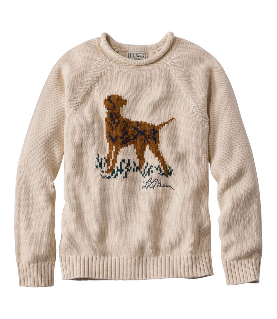 Kids' Cotton Rollneck Sweater | L.L.Bean Latest