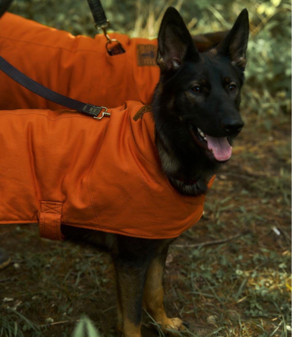 L.L.Bean & Noah Kahan Reversible Field Coat for Dogs | L.L.Bean Featured
