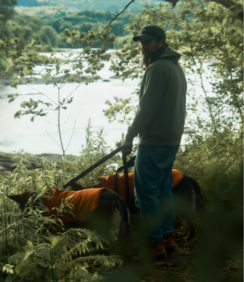 L.L.Bean & Noah Kahan Reversible Field Coat for Dogs | L.L.Bean Featured