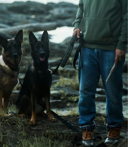 L.L.Bean & Noah Kahan Novelty Dog Leash | L.L.Bean Everyday