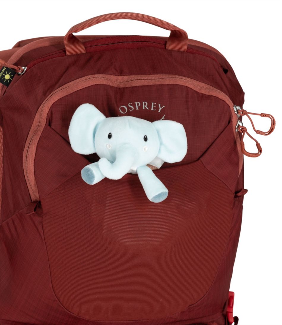 Osprey Poco LT Child Carrier Backpack | L.L.Bean Signature