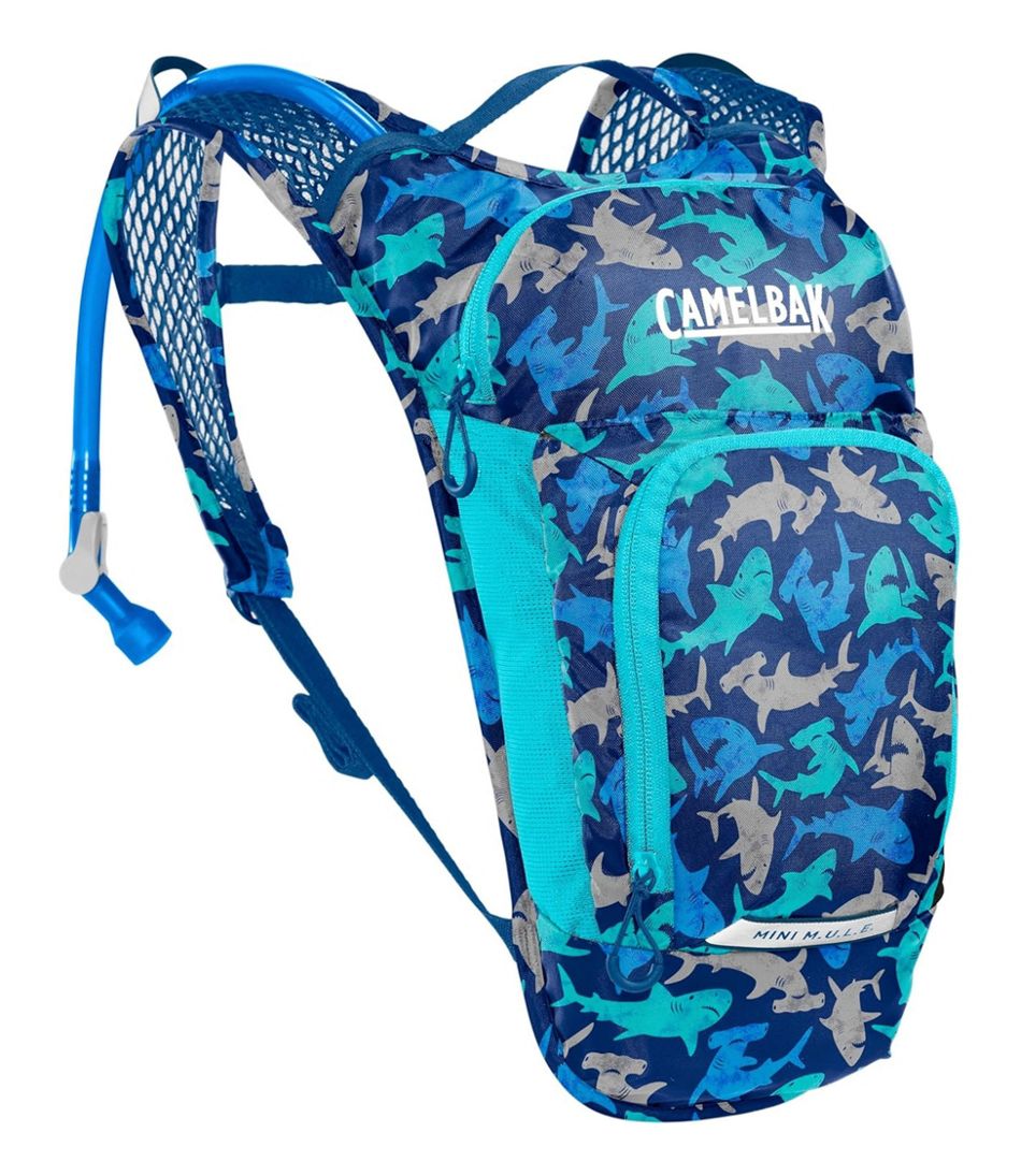 Kids' Camelbak Mini Mule Hydration Pack | L.L.Bean Best Seller