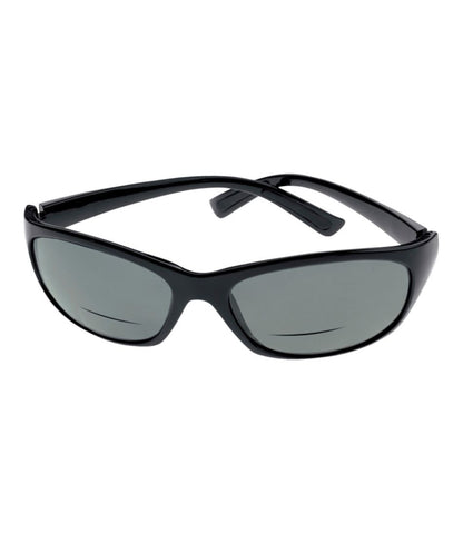 Polarized Performance Bifocals, Large | L.L.Bean Popular