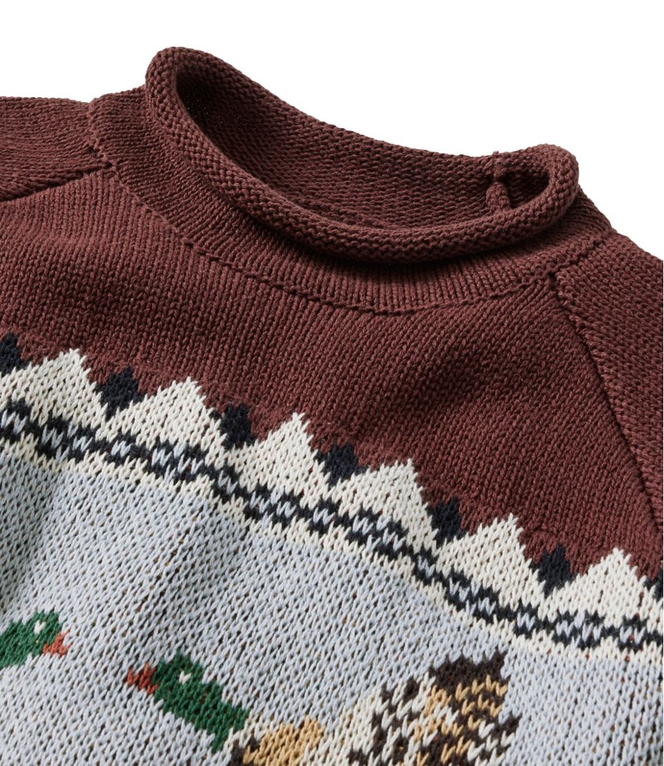 Men's Signature Organic Cotton Rollneck Sweater, Fair Isle | L.L.Bean Classic