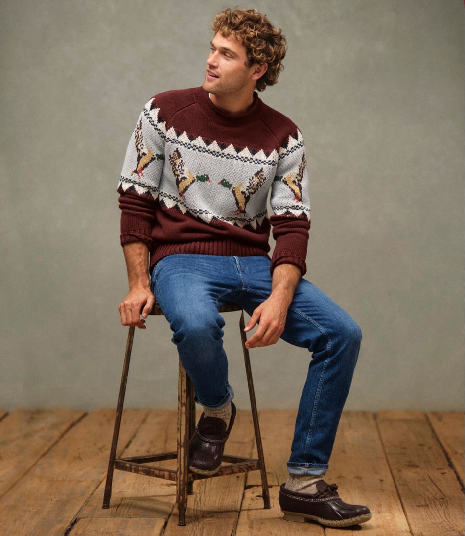 Men's Signature Organic Cotton Rollneck Sweater, Fair Isle | L.L.Bean Classic