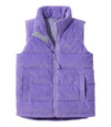 Alpine Aster