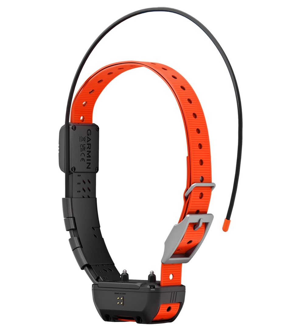 Garmin Alpha TT25 Dog Collar | L.L.Bean Recommended