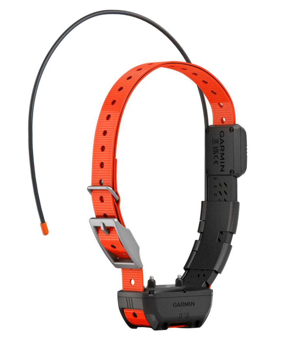 Garmin Alpha TT25 Dog Collar | L.L.Bean Recommended