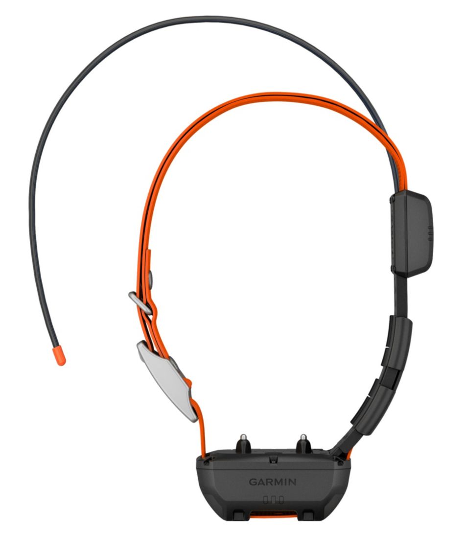 Garmin Alpha TT25 Dog Collar | L.L.Bean Recommended