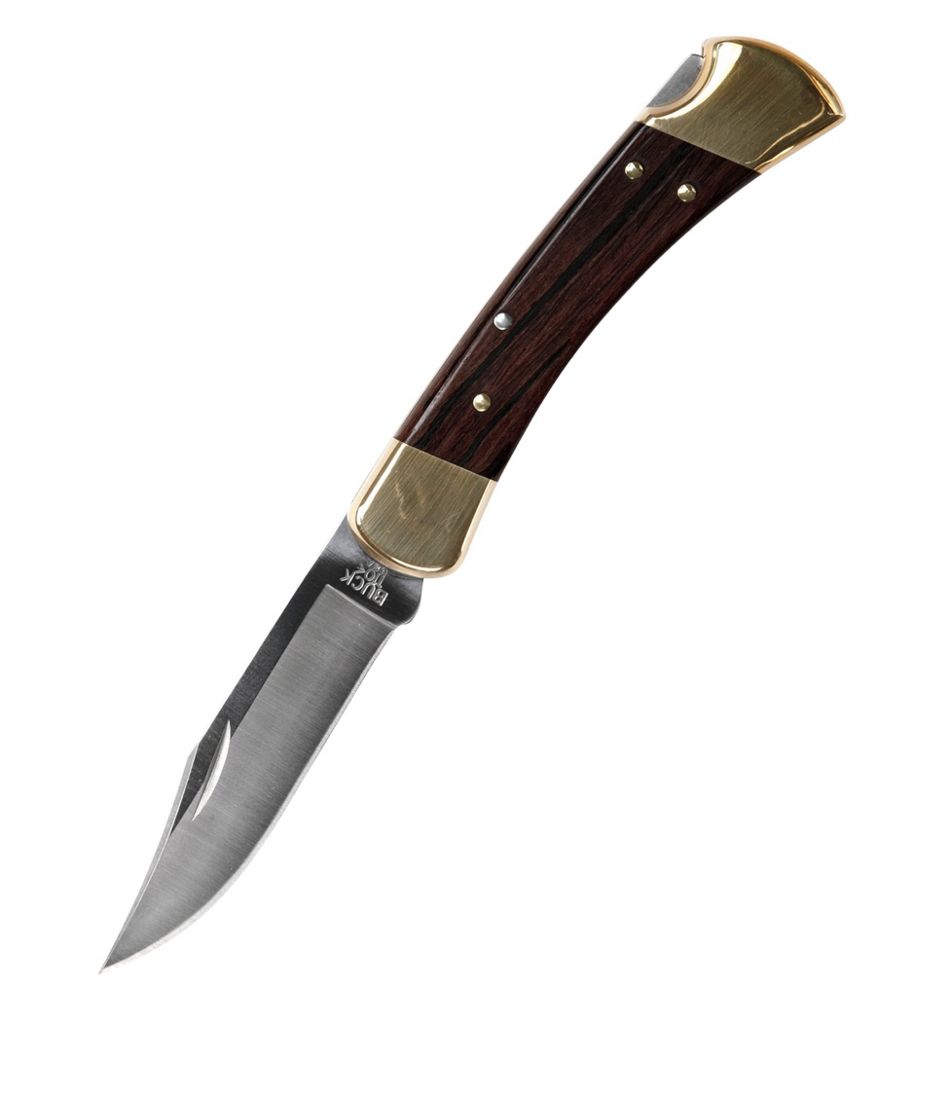 Buck 110 Folding Hunter's Knife | L.L.Bean Everyday
