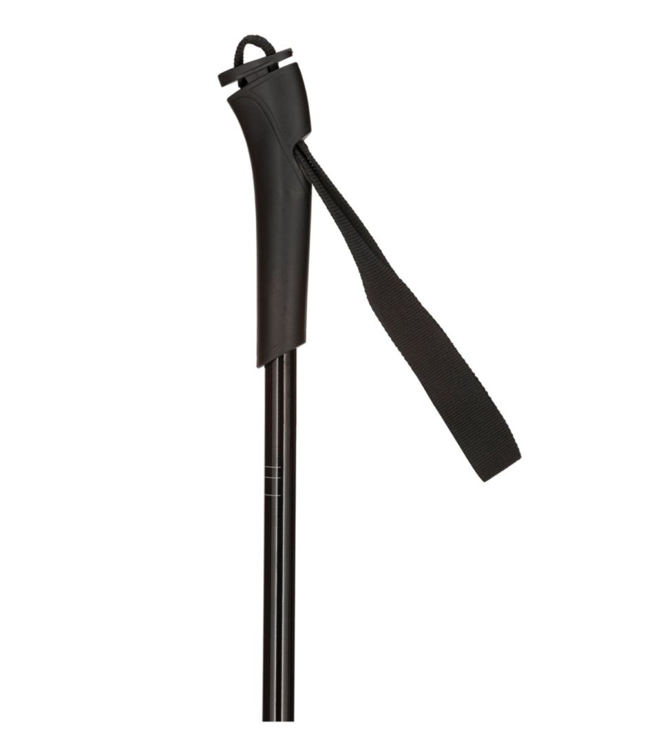 Rossignol FT500 Cross-Country Touring Ski Poles | L.L.Bean Everyday