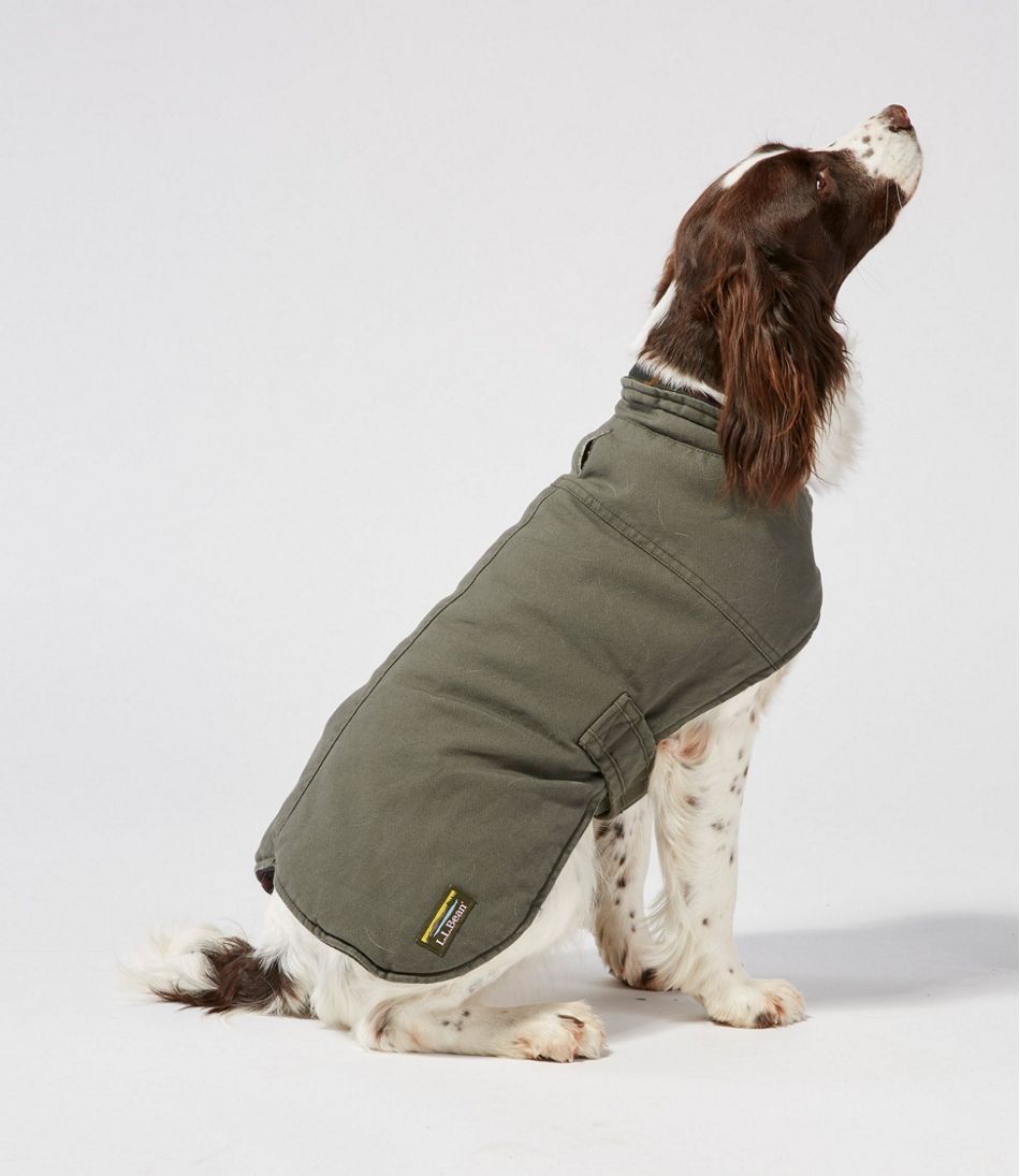 Reversible Field Coat for Dogs | L.L.Bean Everyday