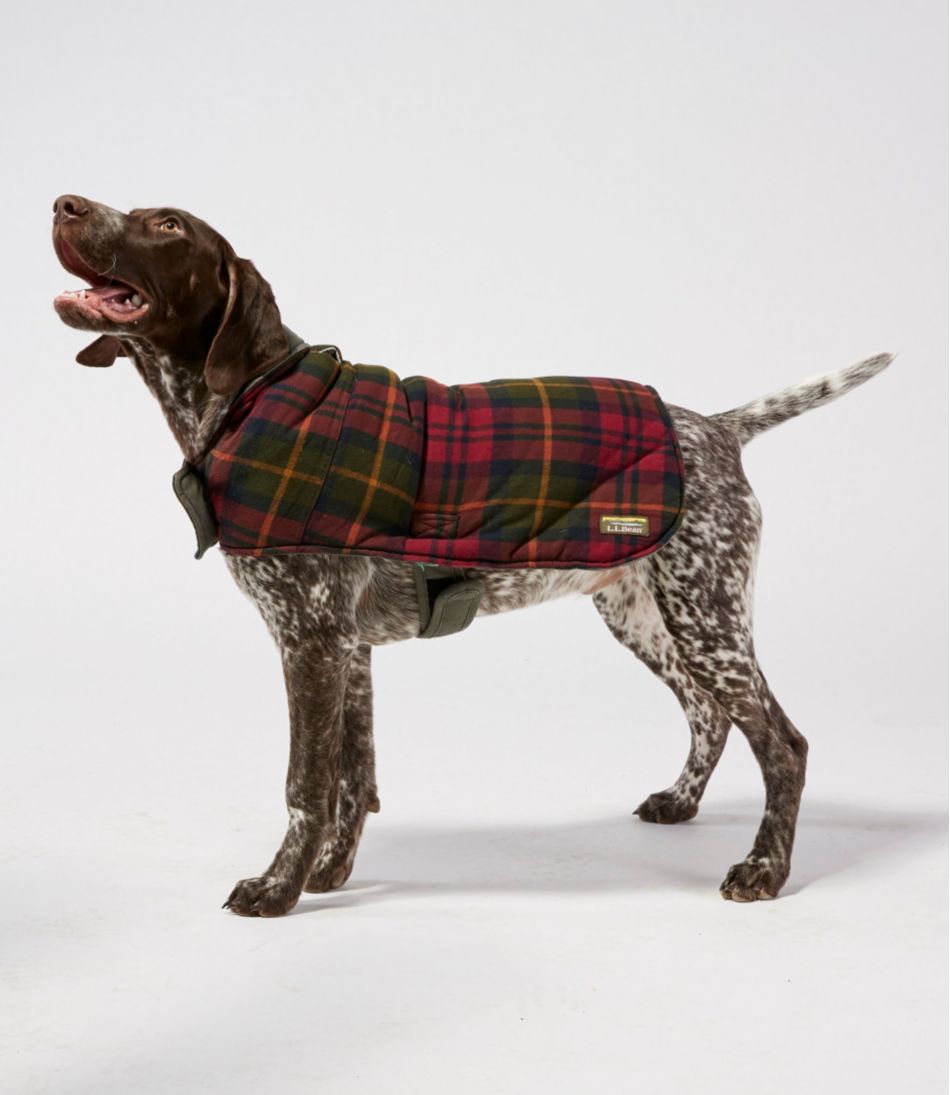 Reversible Field Coat for Dogs | L.L.Bean Everyday