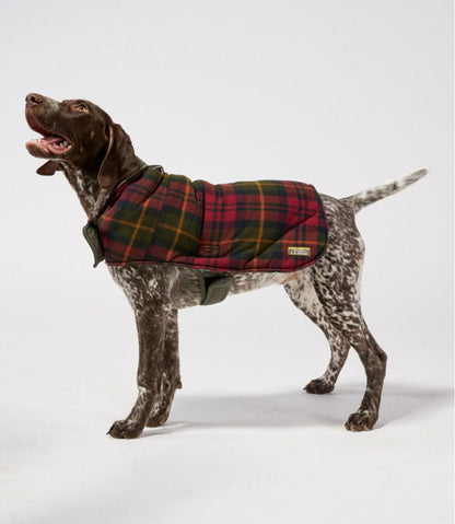 Reversible Field Coat for Dogs | L.L.Bean Everyday