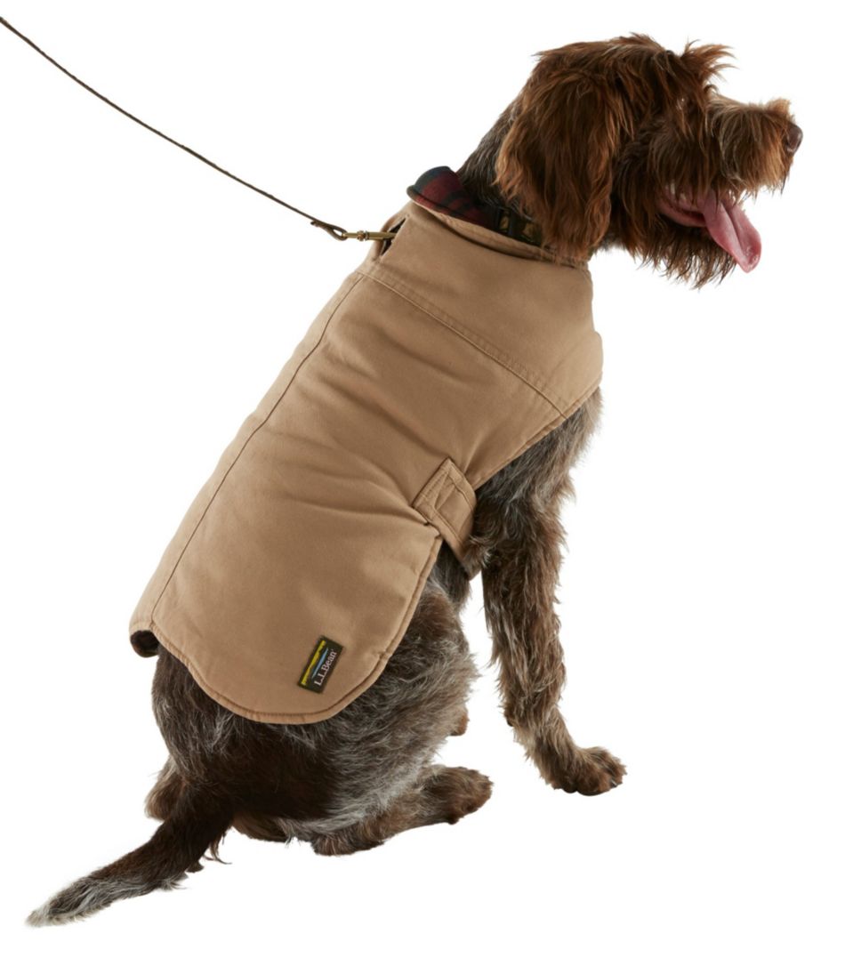 Reversible Field Coat for Dogs | L.L.Bean Everyday