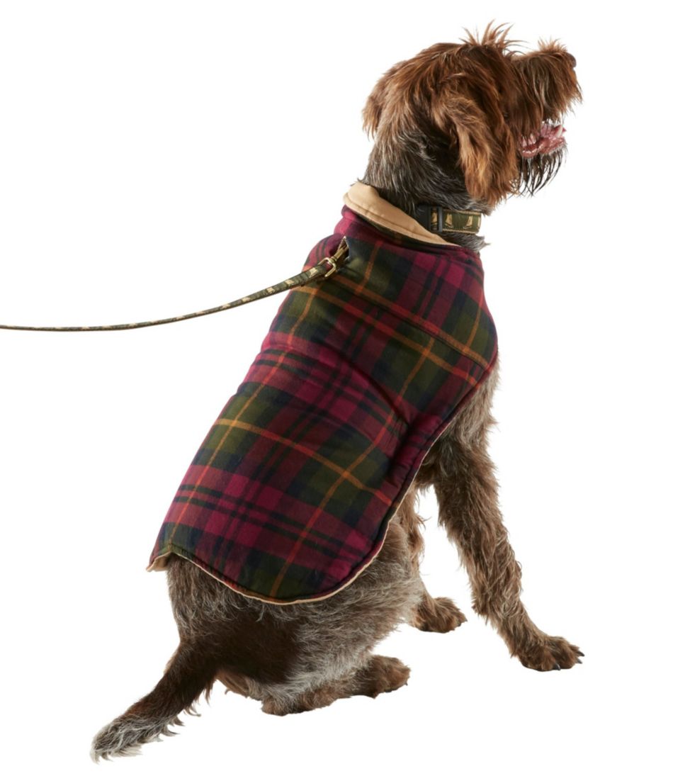 Reversible Field Coat for Dogs | L.L.Bean Everyday