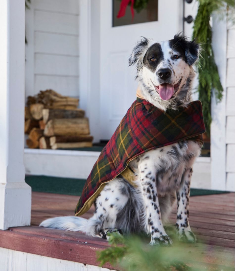 Reversible Field Coat for Dogs | L.L.Bean Everyday
