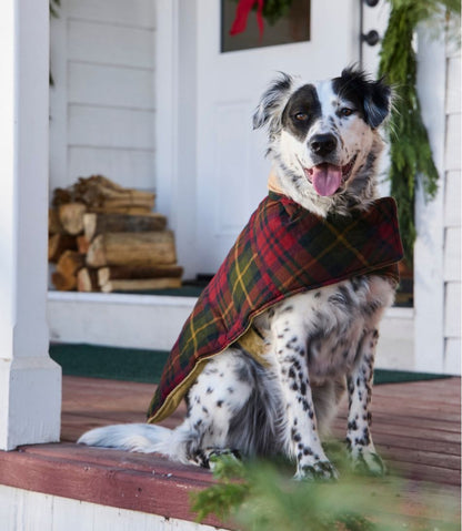 Reversible Field Coat for Dogs | L.L.Bean Everyday
