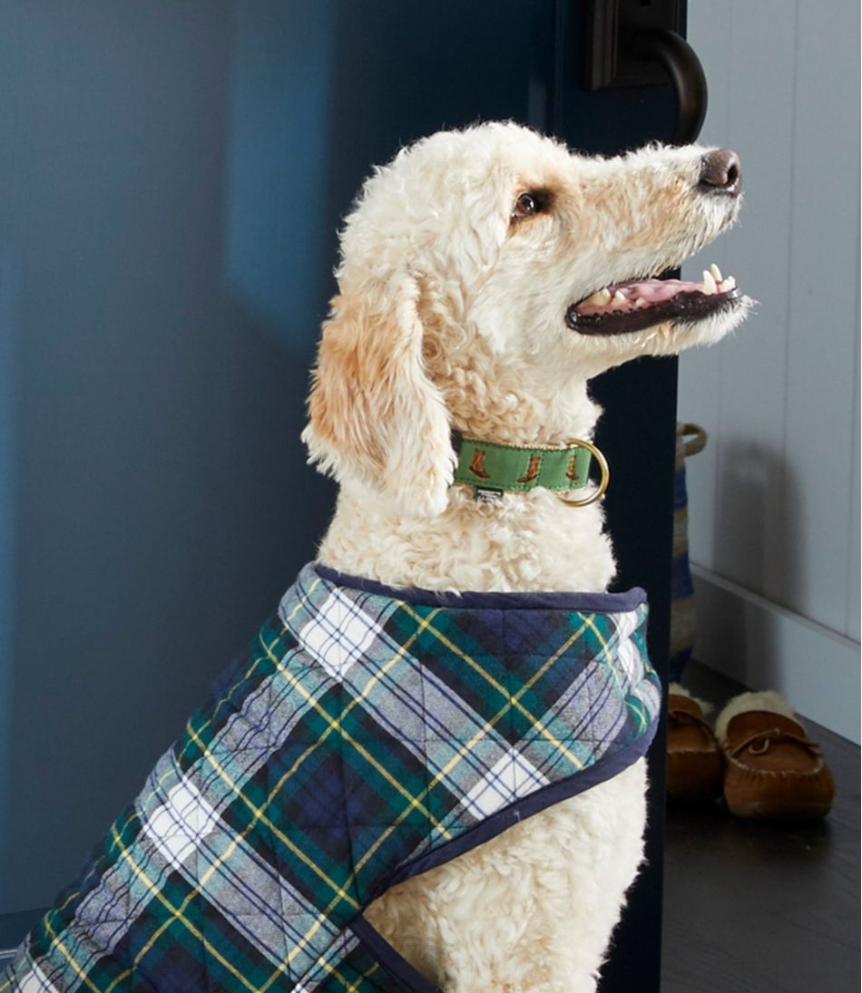 Novelty Dog Collar | L.L.Bean Popular