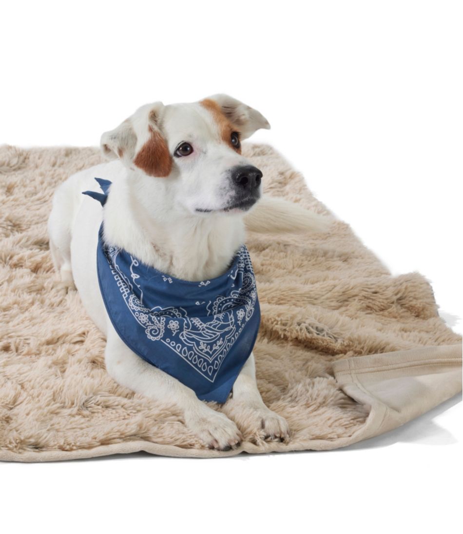 Plush Cuddler Dog Blanket | L.L.Bean Trending