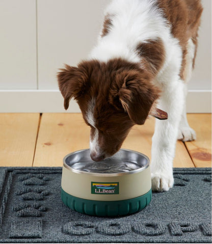 Recycled Waterhog Dog Placemat, Personalized | L.L.Bean Classic