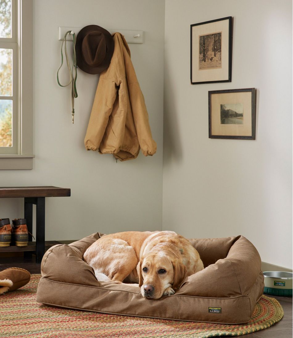 Premium Therapeutic Dog Bed Couch | L.L.Bean Value