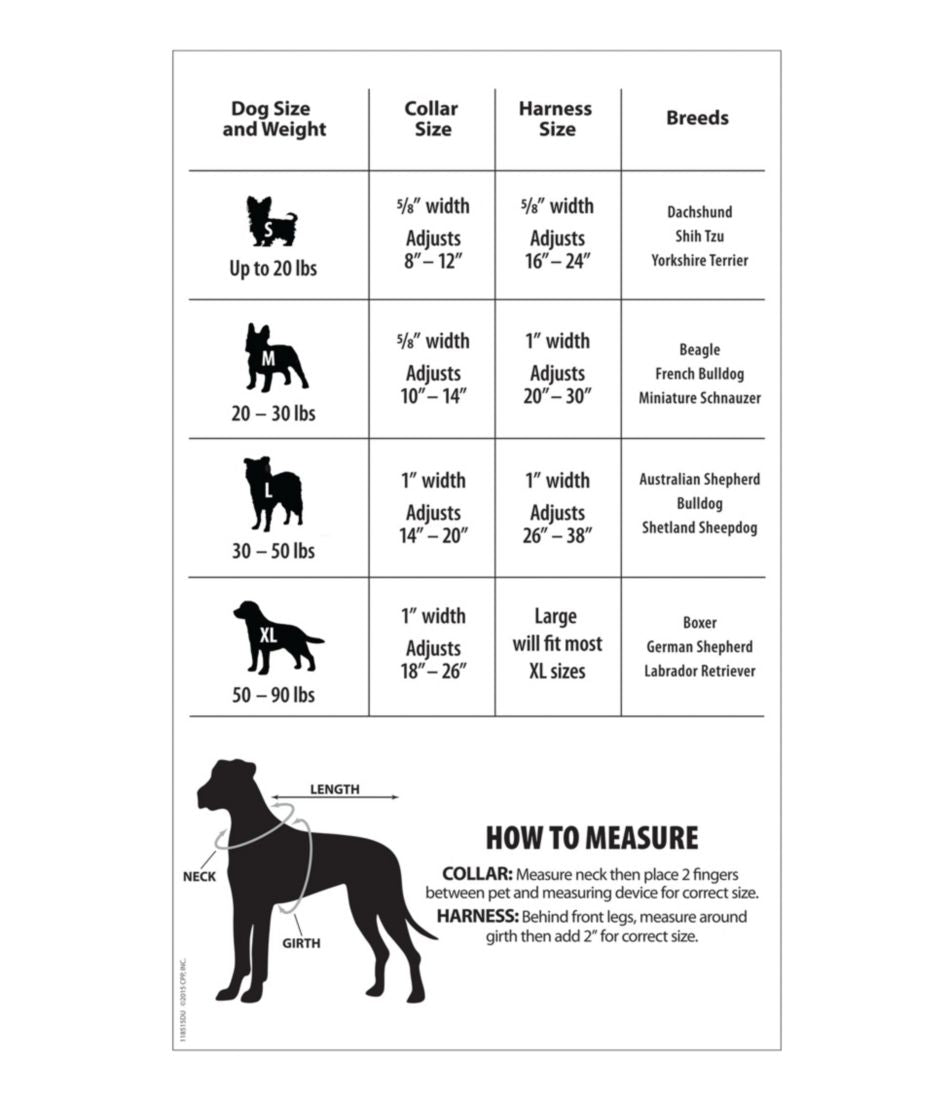 Personalized Pet Collar, Reflective | L.L.Bean Great Value