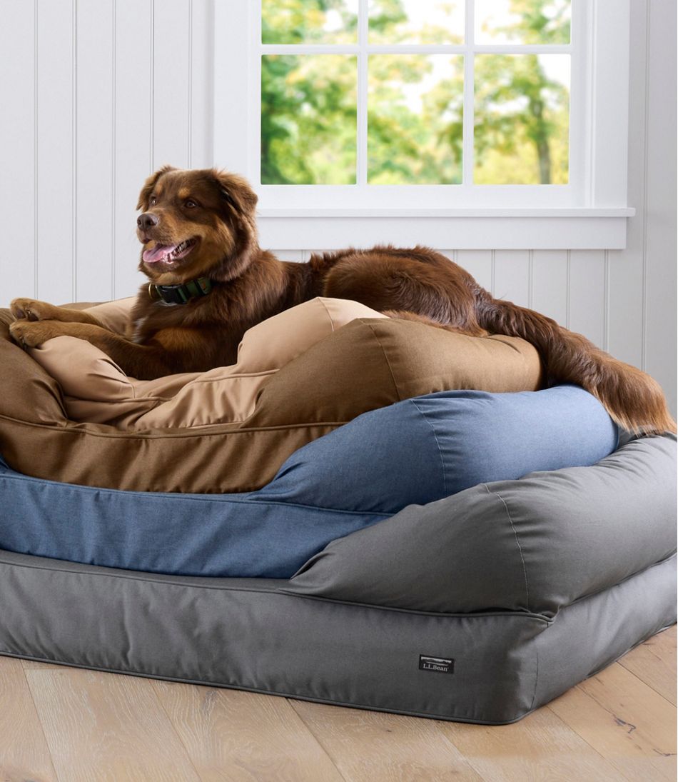 Premium Denim Dog Couch | L.L.Bean Trending