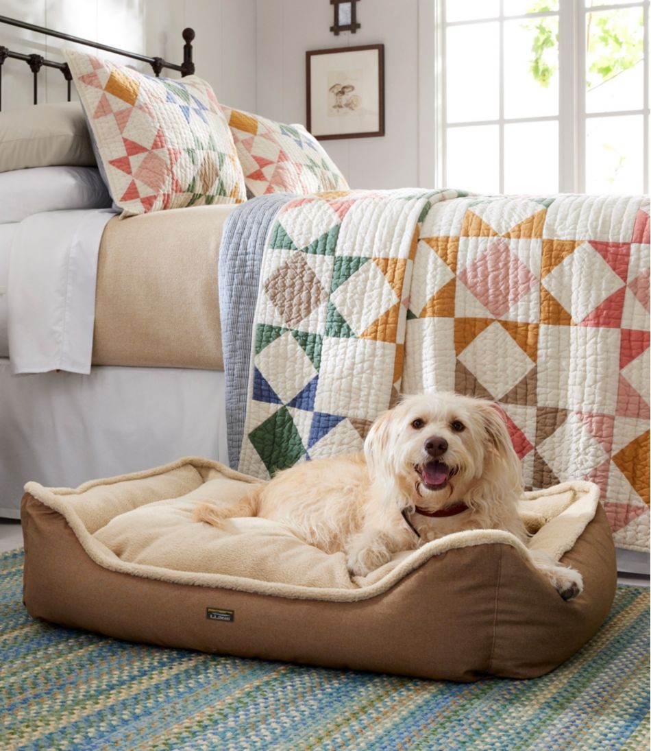 Premium Cuddler Dog Bed | L.L.Bean Latest