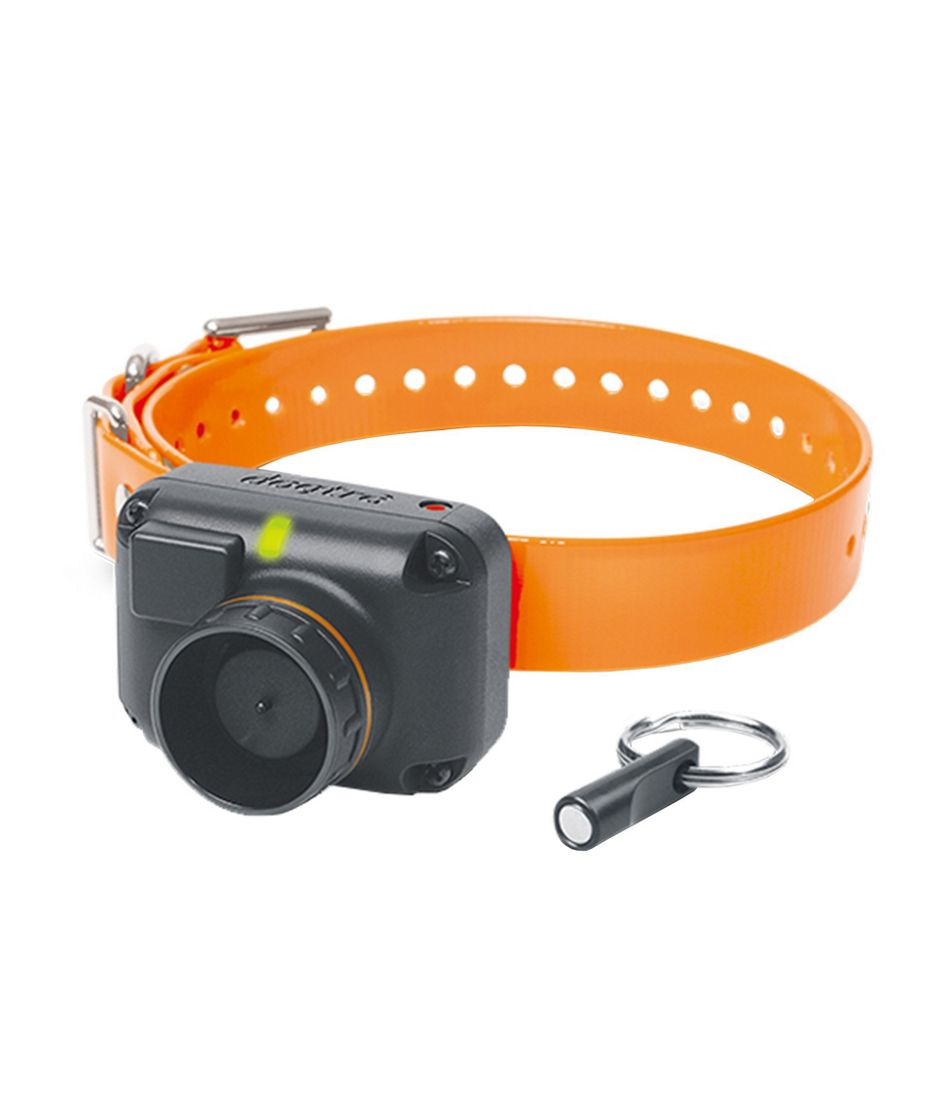 Dogtra STB Beeper Collar | L.L.Bean Trending