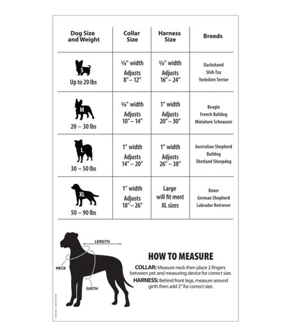 Personalized Pet Collar | L.L.Bean Exclusive