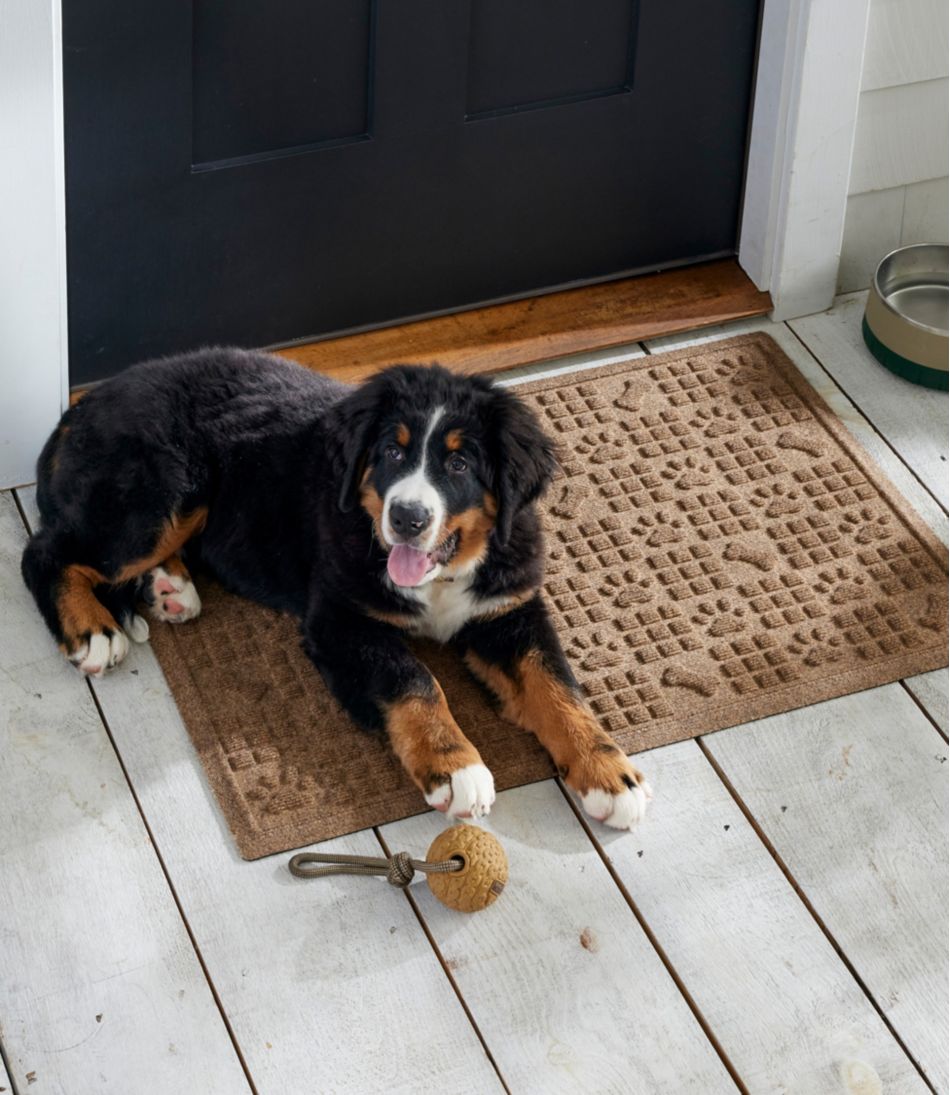 Waterhog Dog Bones and Paws Mat | L.L.Bean Essential